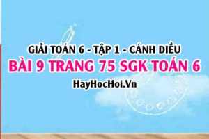 Giải bài 9 trang 75 Toán 6 Tập 1 SGK Cánh Diều